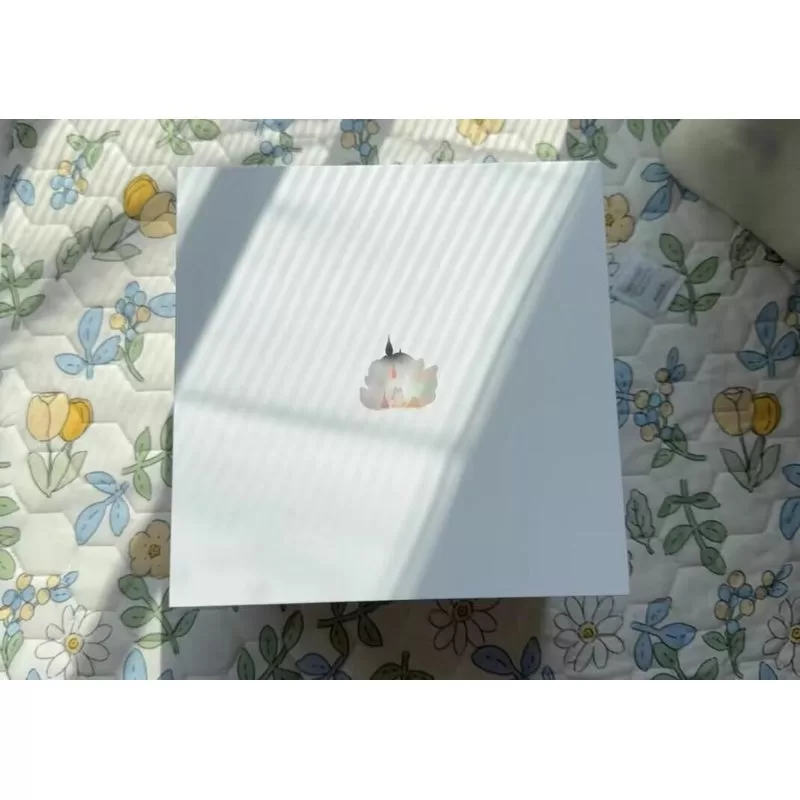 DIMOO Colorful Rain Ver2. Limited Figure